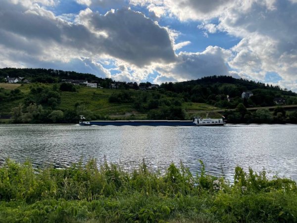 Mosel Campingplatz Rissbach — Photo 3