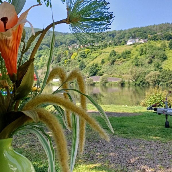 Mosel Campingplatz Rissbach — Photo 5