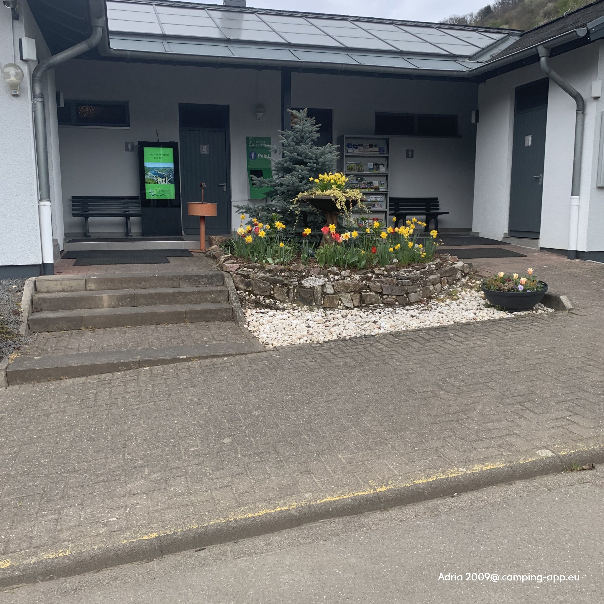 Mosel Campingplatz Rissbach — Foto 2