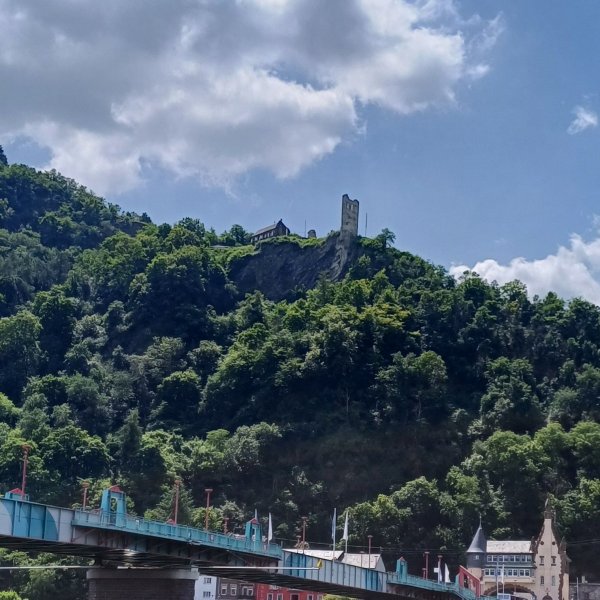 Mosel Campingplatz Rissbach — Photo 6