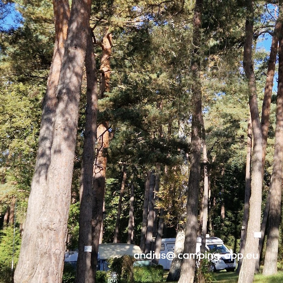 Inselcamp Rügen — Campingplats in Groß Banzelvitz - Insel Rügen