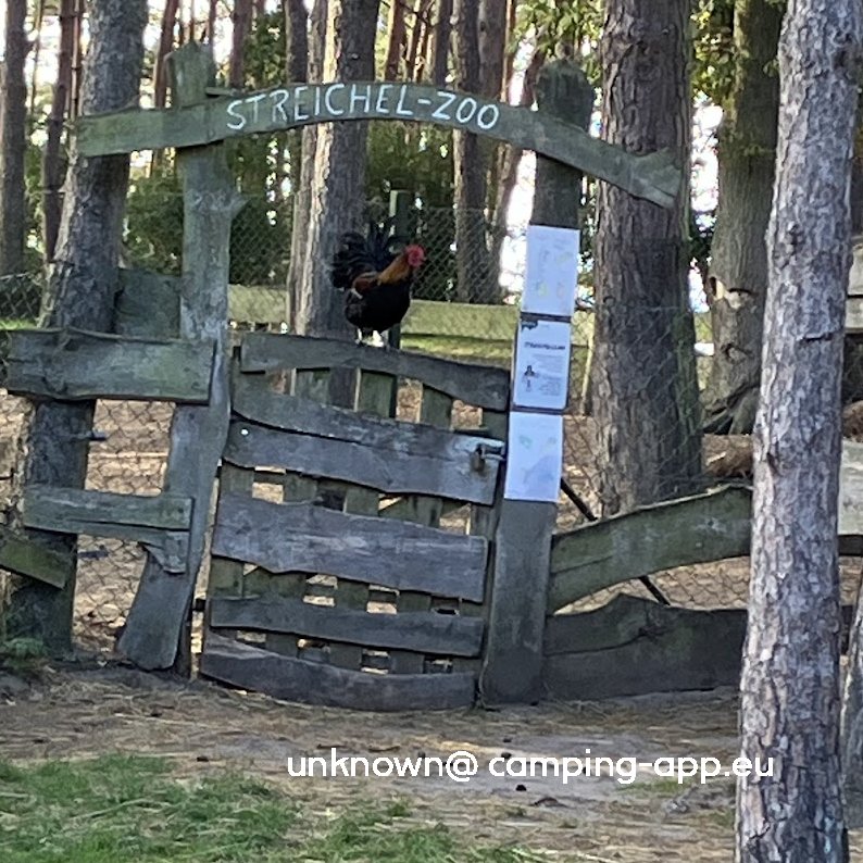 Inselcamp Rügen — Foto 2