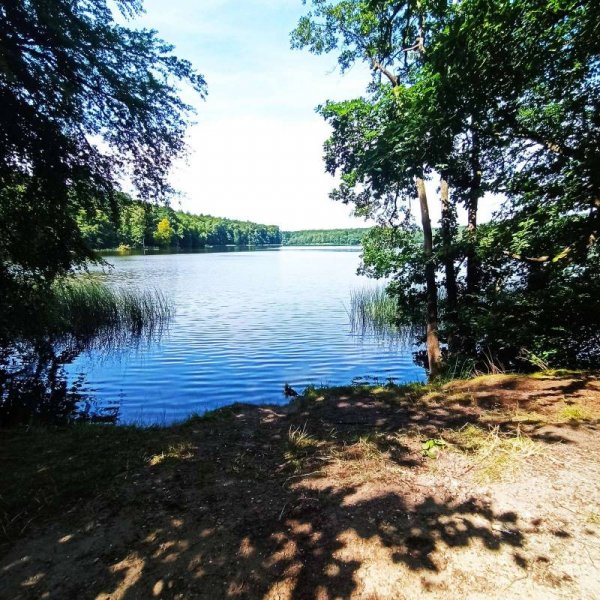 Campingplatz am Lütauer See — Photo 5
