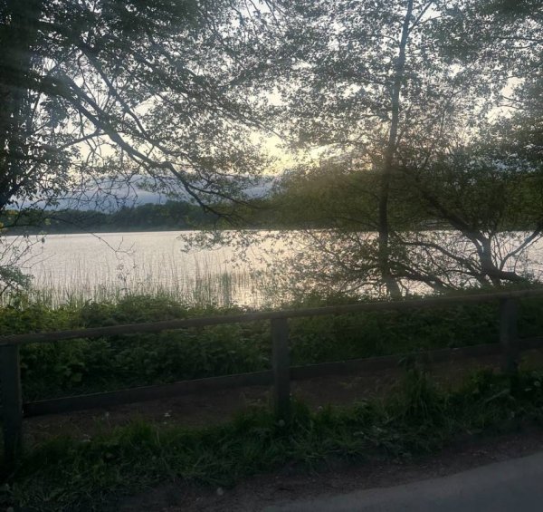 KlüthseeCamp & Seeblick — Photo 2