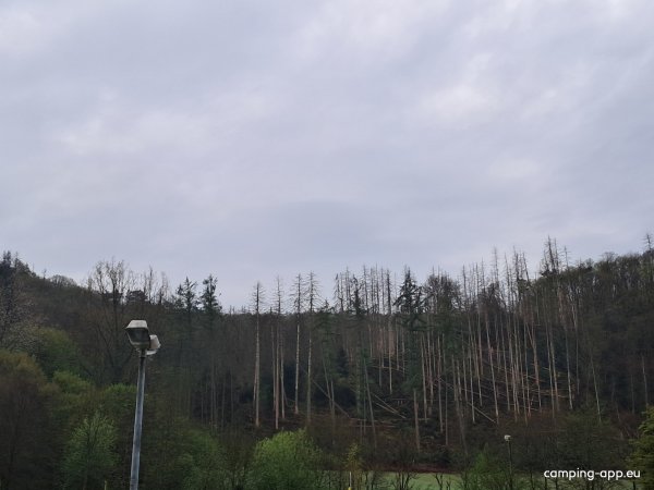 Waldcamping Glüder — Photo 5