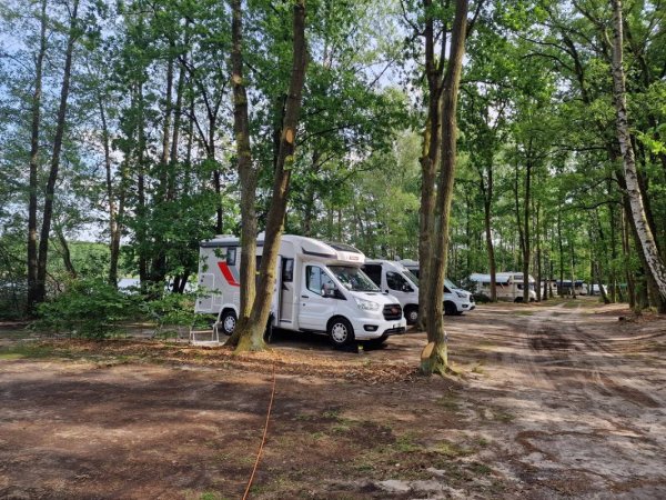 Seecamp Waldreich — Photo 3