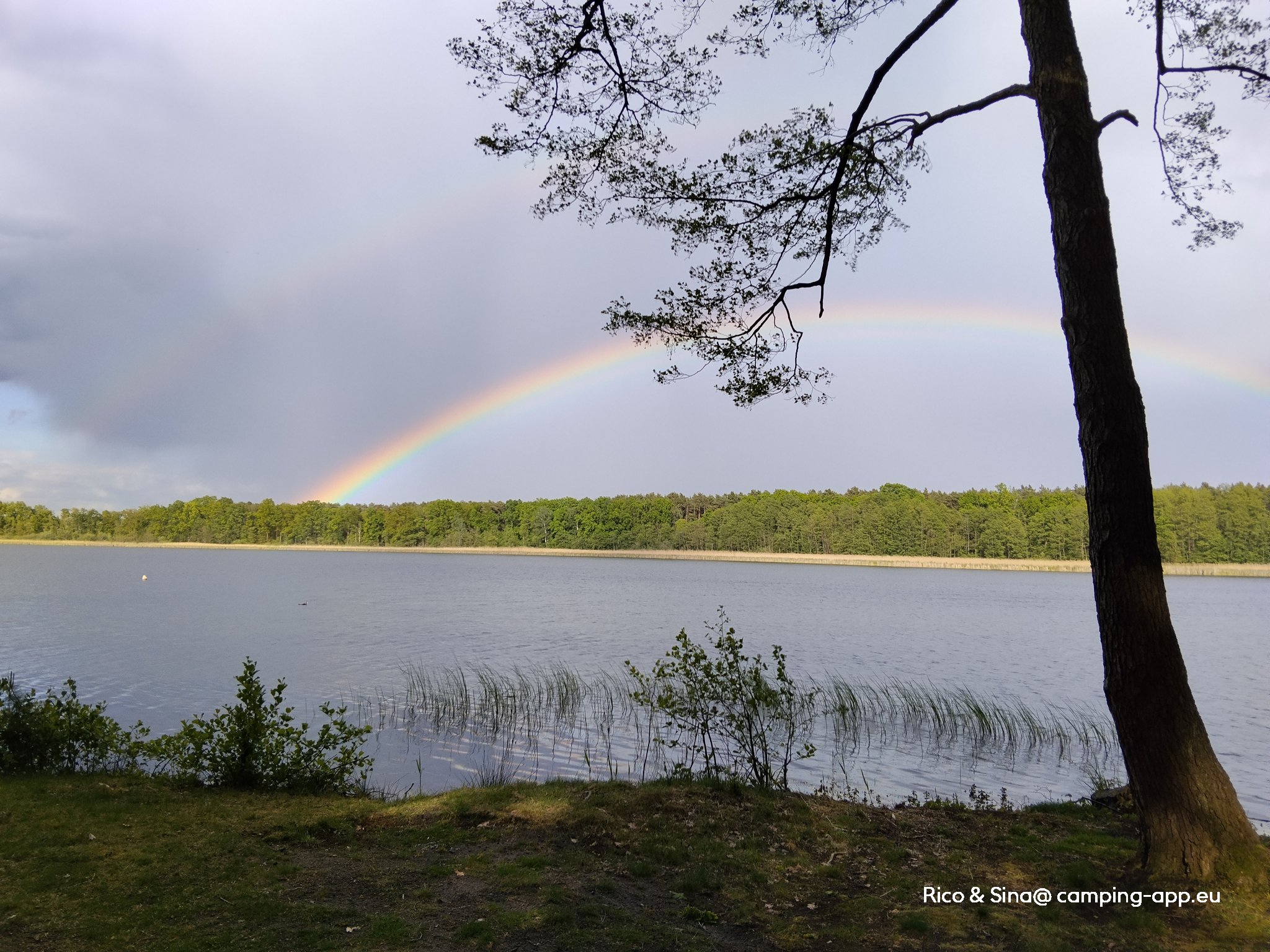 Seecamp Waldreich — Foto 2