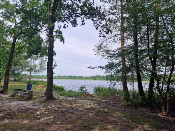 Seecamp Waldreich — Photo 2