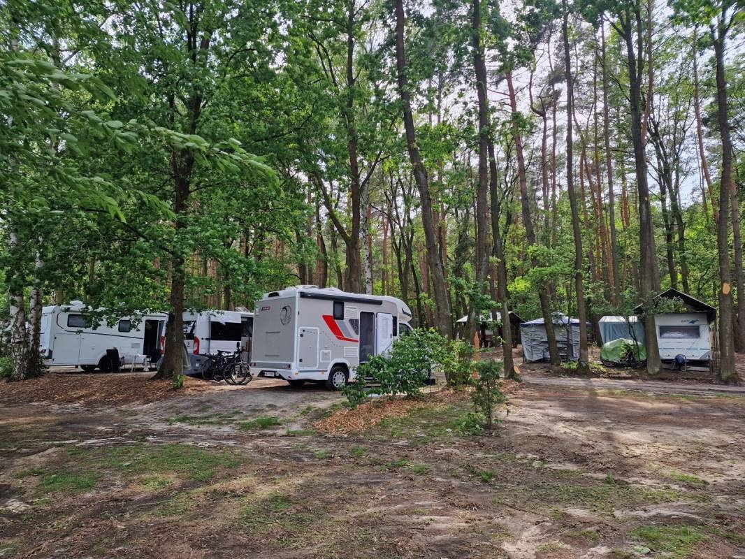 Seecamp Waldreich — Campingplass in Tauche