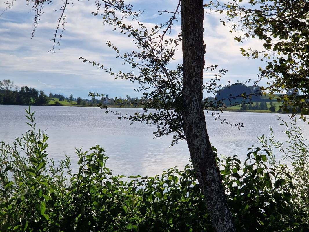 Camping am Badsee — Sítio de acampamento in Isny im Allgäu