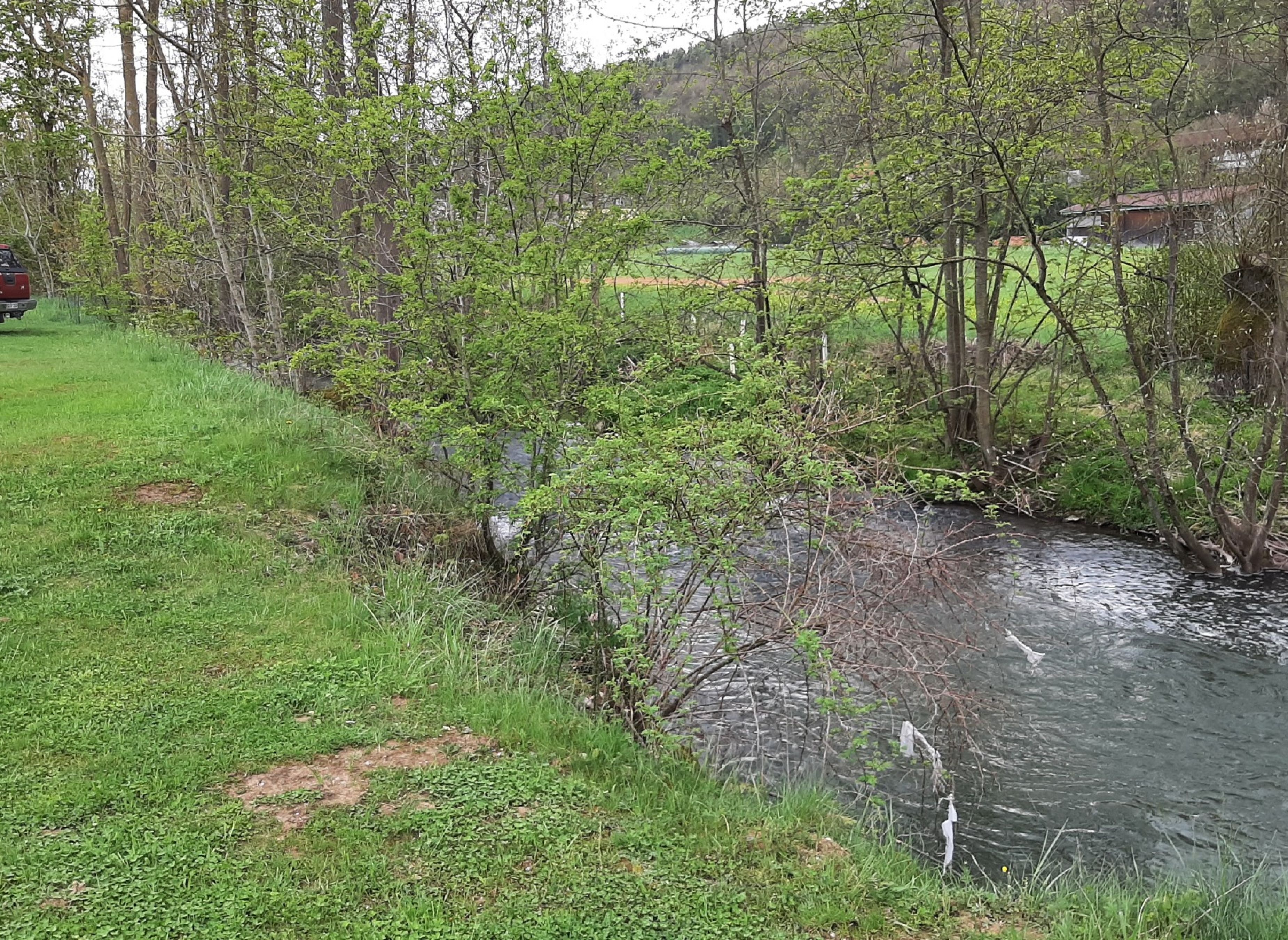 Camping Schwabenmühle — Cámping in Weikersheim - Laudenbach