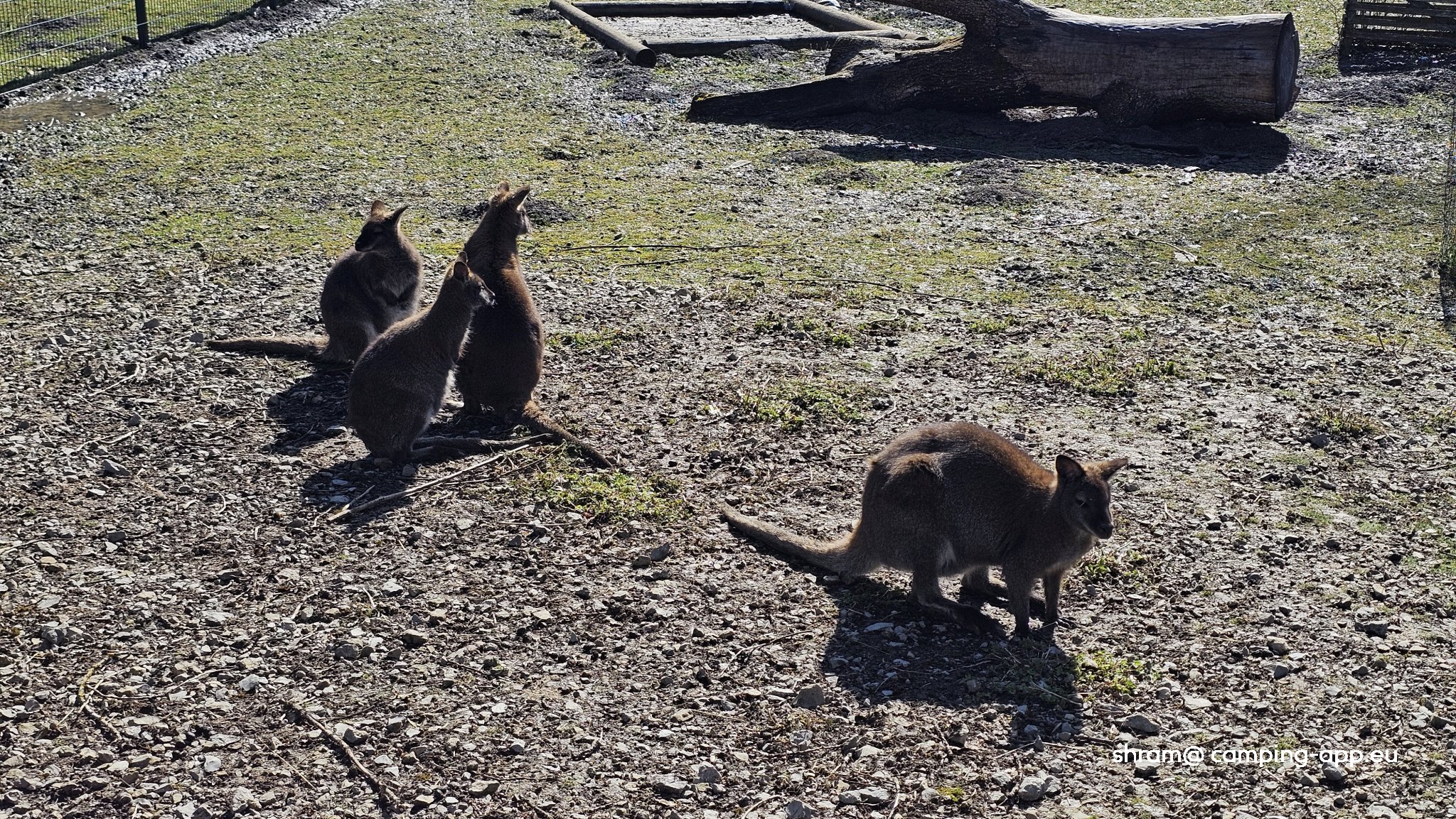 Campingplatz beim Stausee — Photo 5