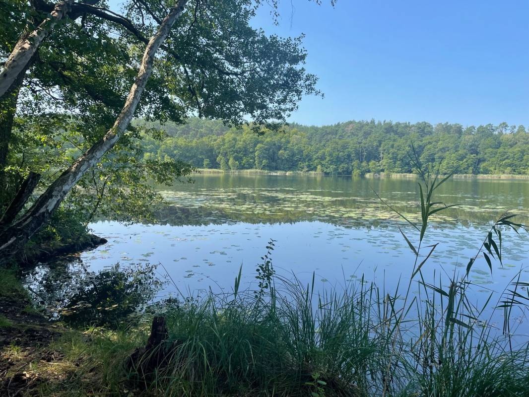 Natur Campingplatz am Springsee — Campingplatz in Storkow OT Limsdorf