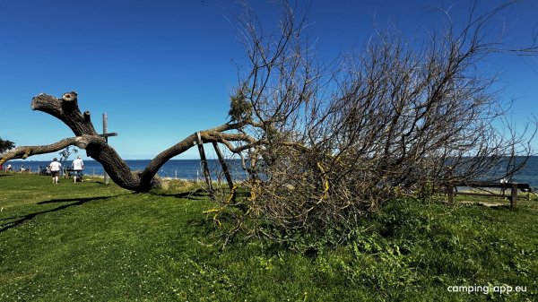 Am Rosenfelder Strand Ostsee Camping — Photo 4