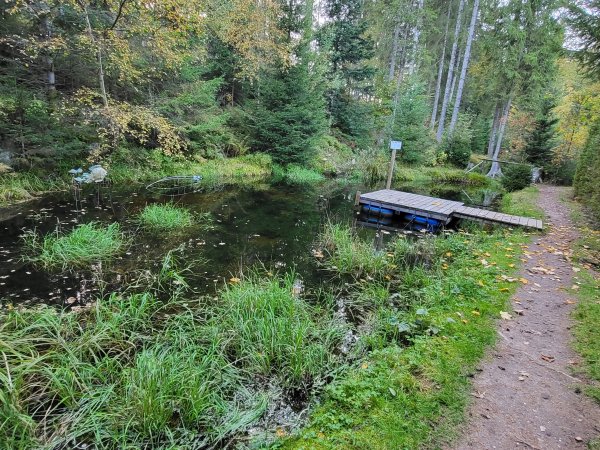 Naturcamping Langenwald — Photo 4