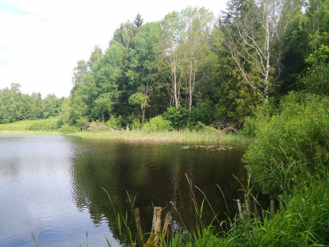 Campingplatz Paulfeld — Campingplads in Georgenthal OT Catterfeld