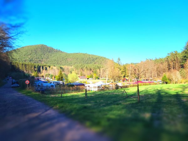 Naturcampingplatz Am Berwartstein