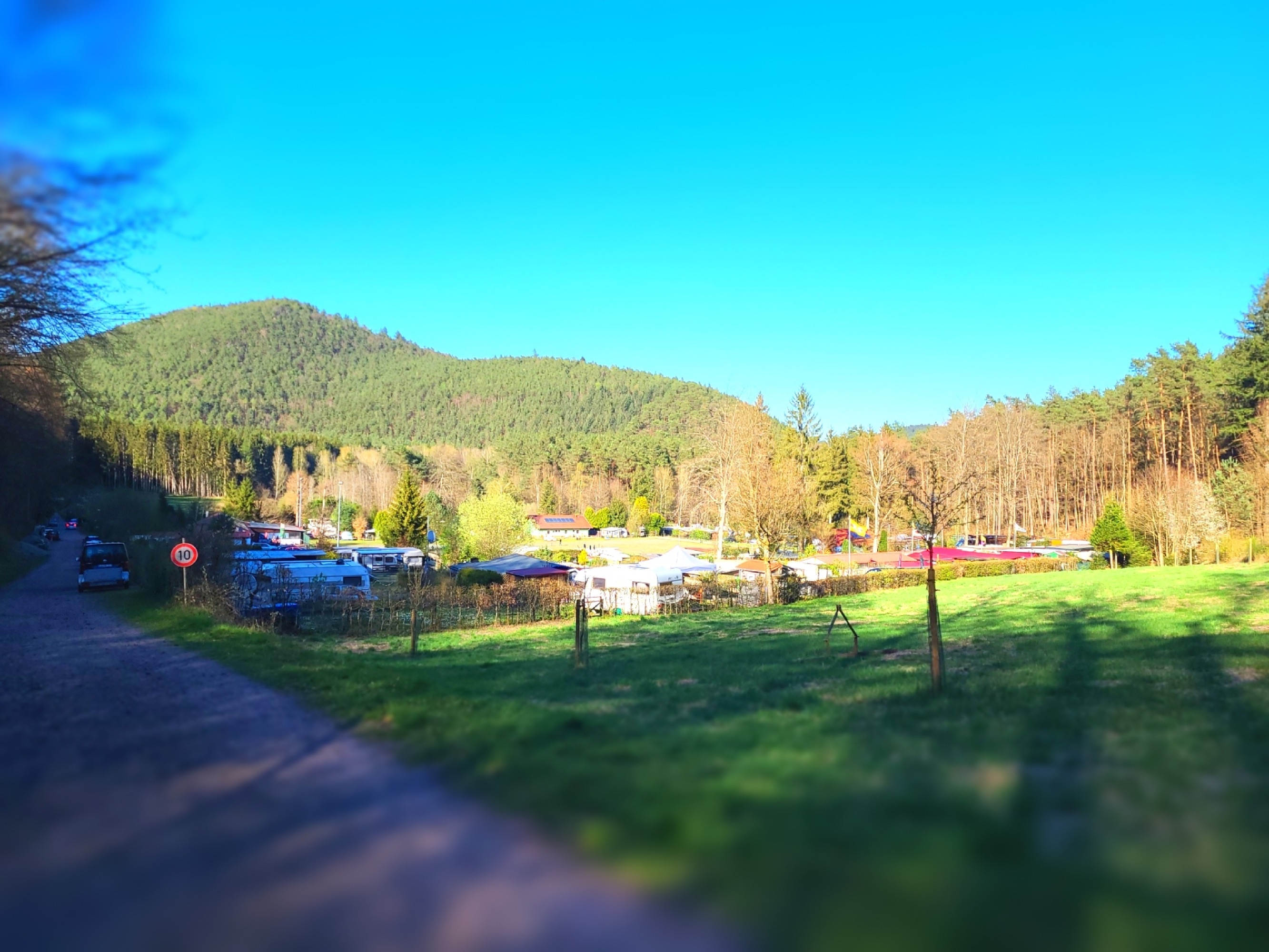 Naturcampingplatz Am Berwartstein — Cámping in Erlenbach bei Dahn