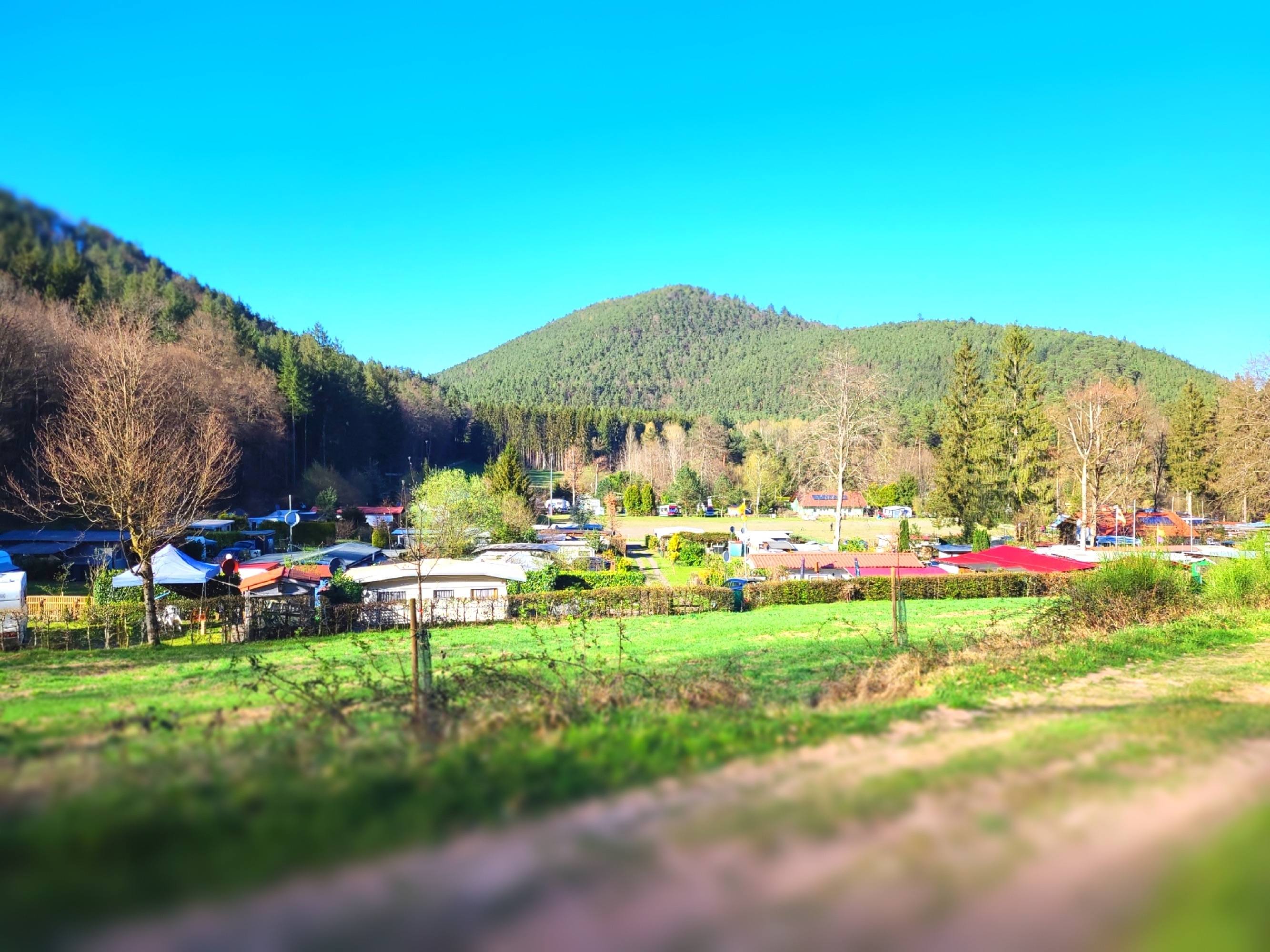 Naturcampingplatz Am Berwartstein — Kemping in Erlenbach bei Dahn