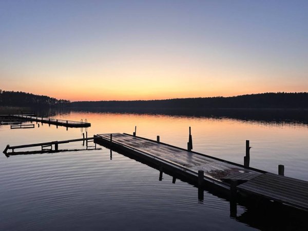 Naturcamping am Großen Pälitzsee — Fotoğraf 4