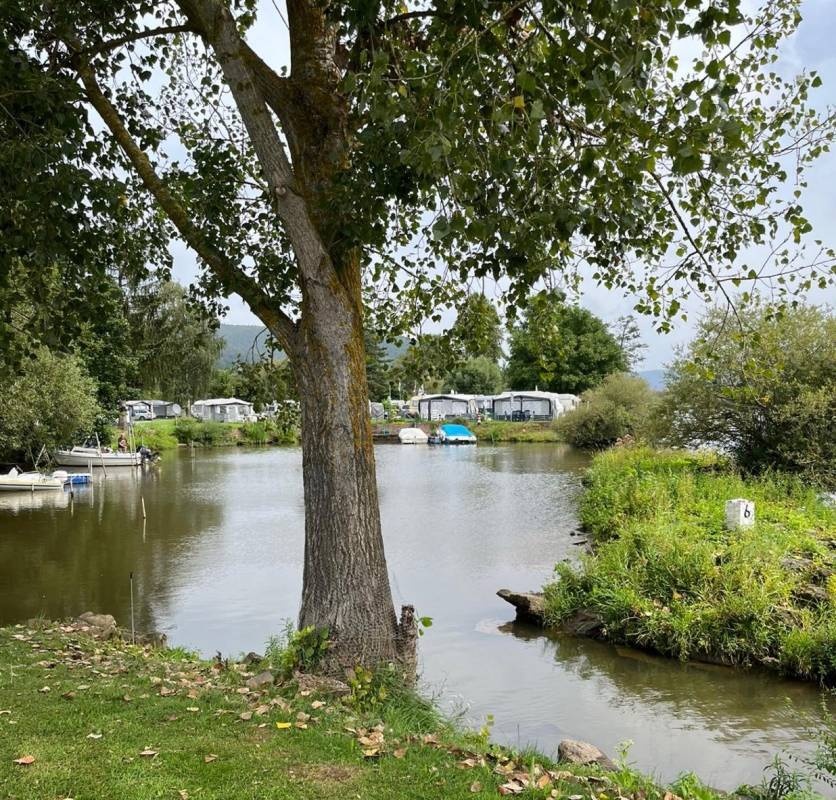 Campingplatz Mainufer — Area da campeggio in Lohr am Main