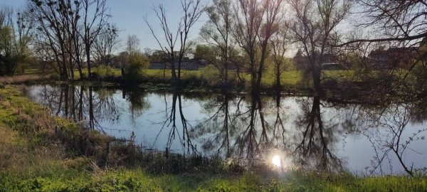 Star Camp Campingplatz und Ferienwohnung — Photo 5