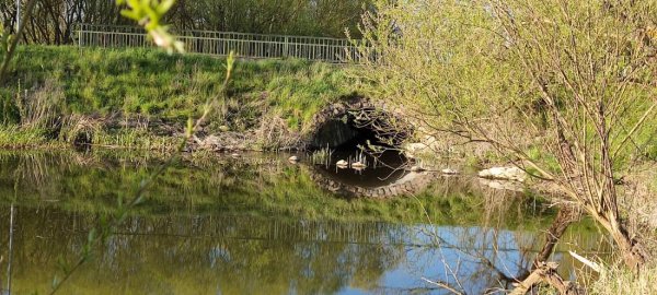 Star Camp Campingplatz und Ferienwohnung — Photo 2