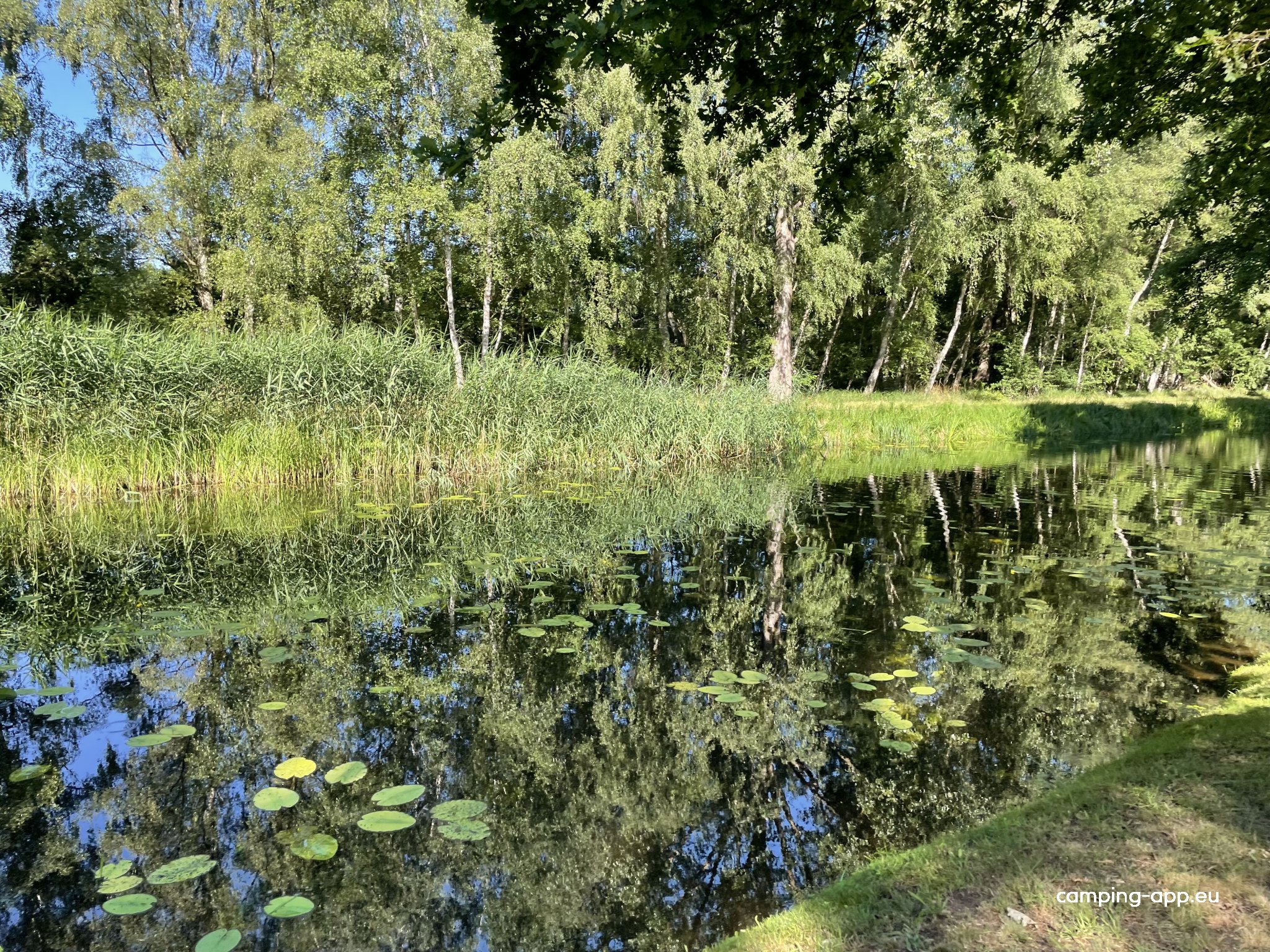 Campingplatz Am Wiesengrund — Foto 2