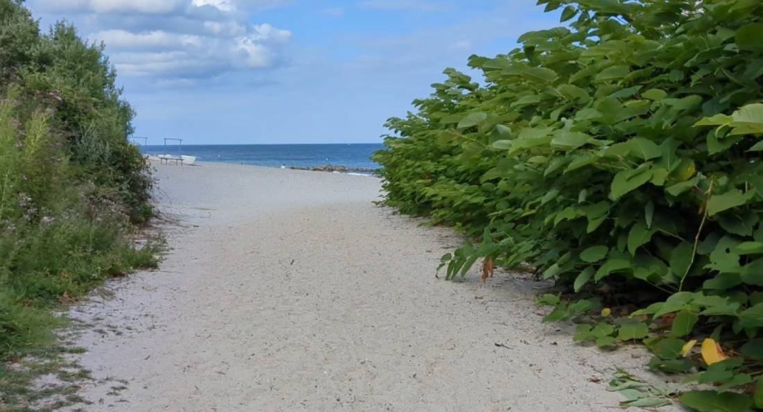 Ostseecamping Familie Heide — Campingplads in Waabs