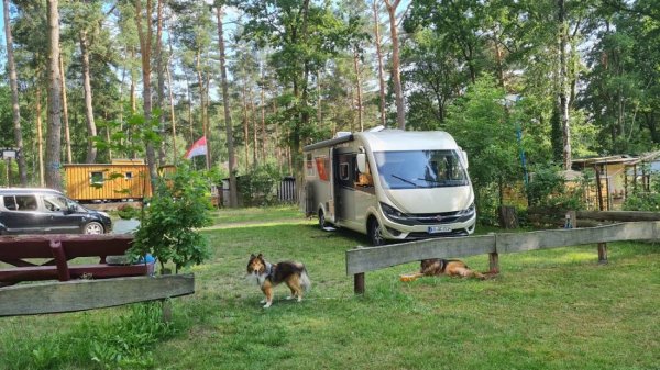 Campingplatz Zühlsdorfer Mühle — Photo 2