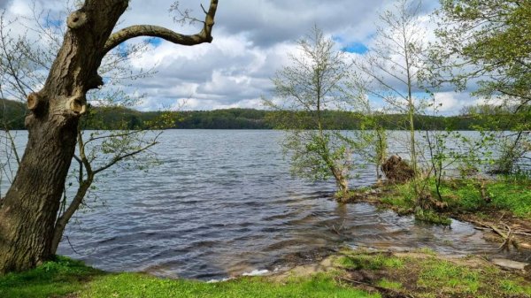 Campingpark Augstfelde am Vierer See — Photo 6