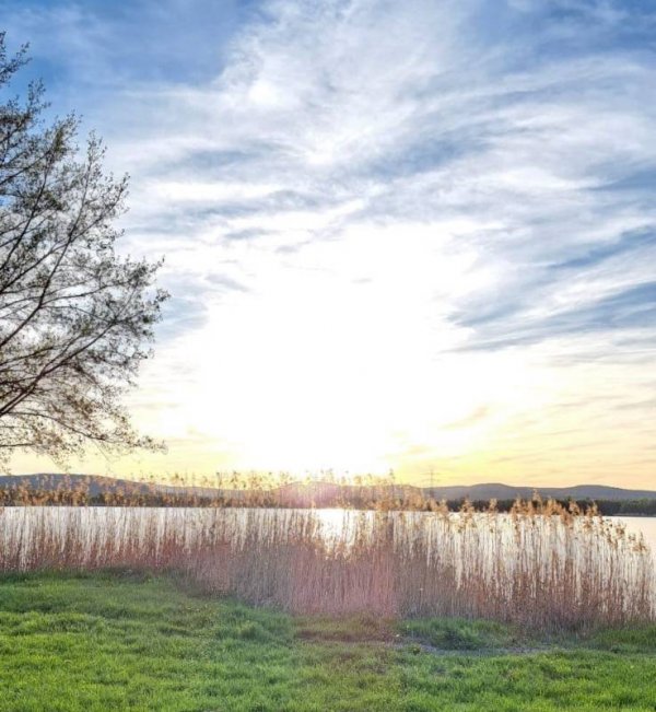 Singliser See — Fotoğraf 4