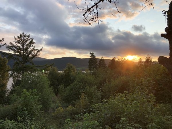 Campingplatz Schluchsee **** — Kemp in Schluchsee