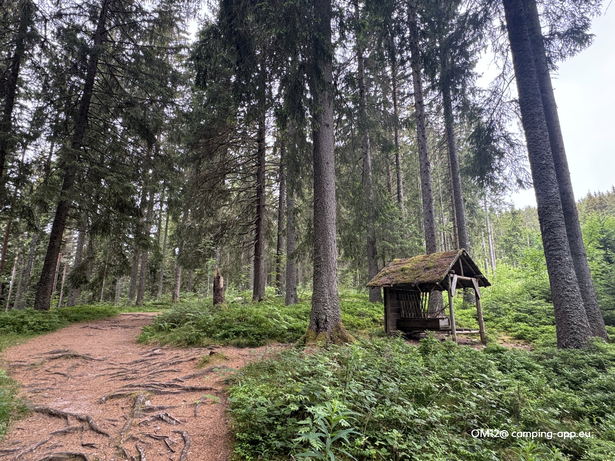 Campingplatz Schluchsee **** — Zdjęcie 2