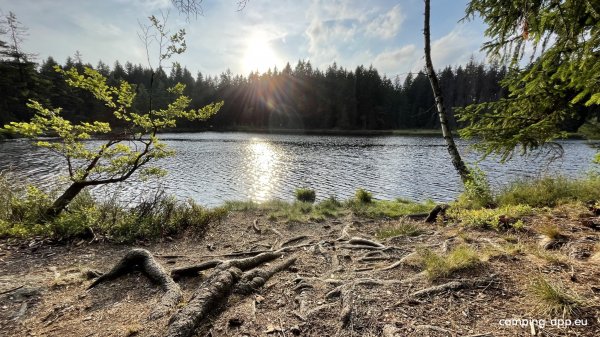 Campingplatz Fichtelsee — Photo 5