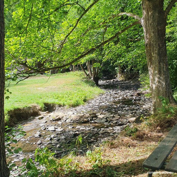 Naturcamping Plothental — Photo 3