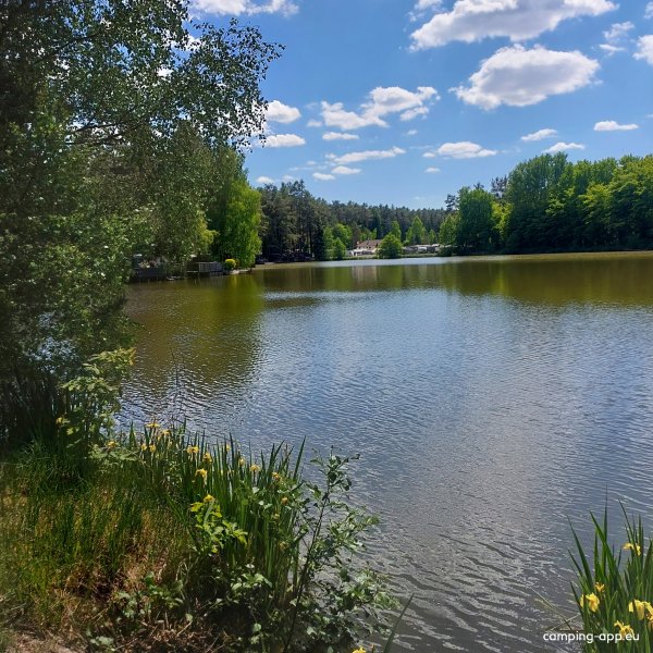 Camping Waldsee — Photo 4