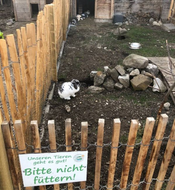 Stellplatz Terassen Camping am Richterbichl — Photo 5