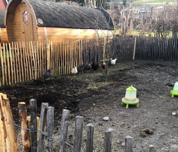 Stellplatz Terassen Camping am Richterbichl — Foto 2