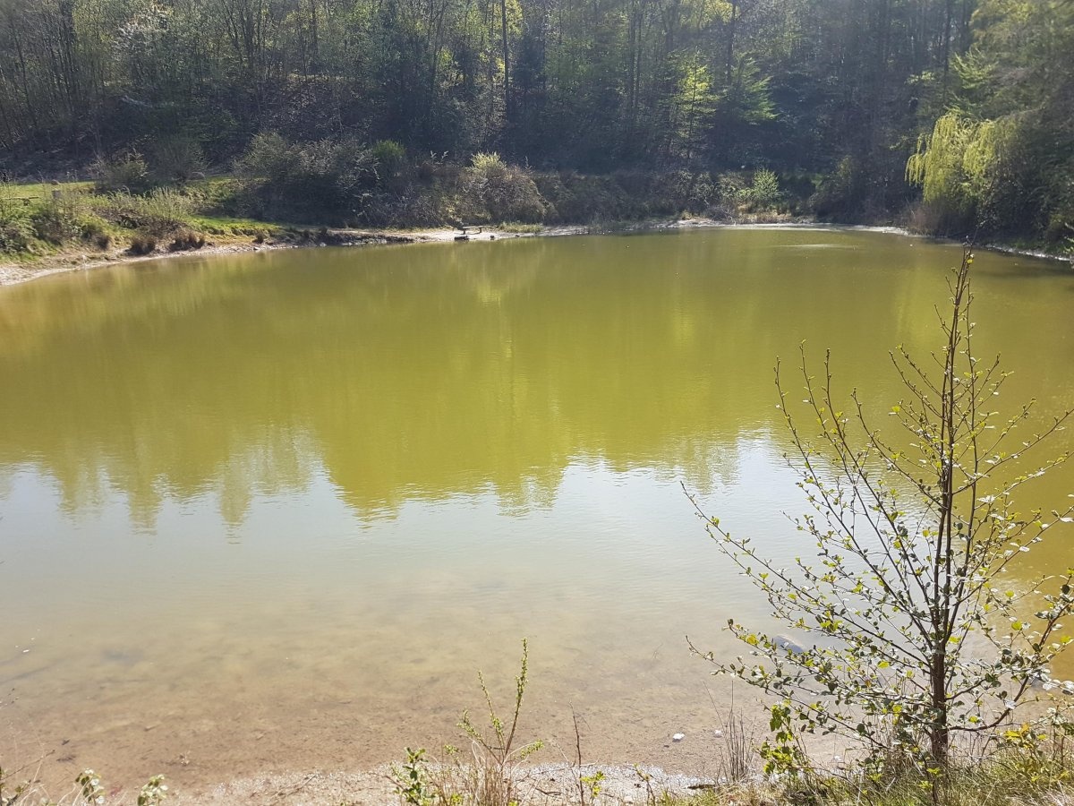 KNAUS Campingpark Wingst **** — 露营地 in Wingst