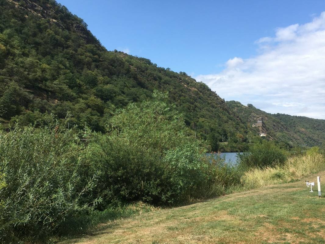KNAUS Campingpark Burgen/Mosel **** — Camping in Burgen/Mosel