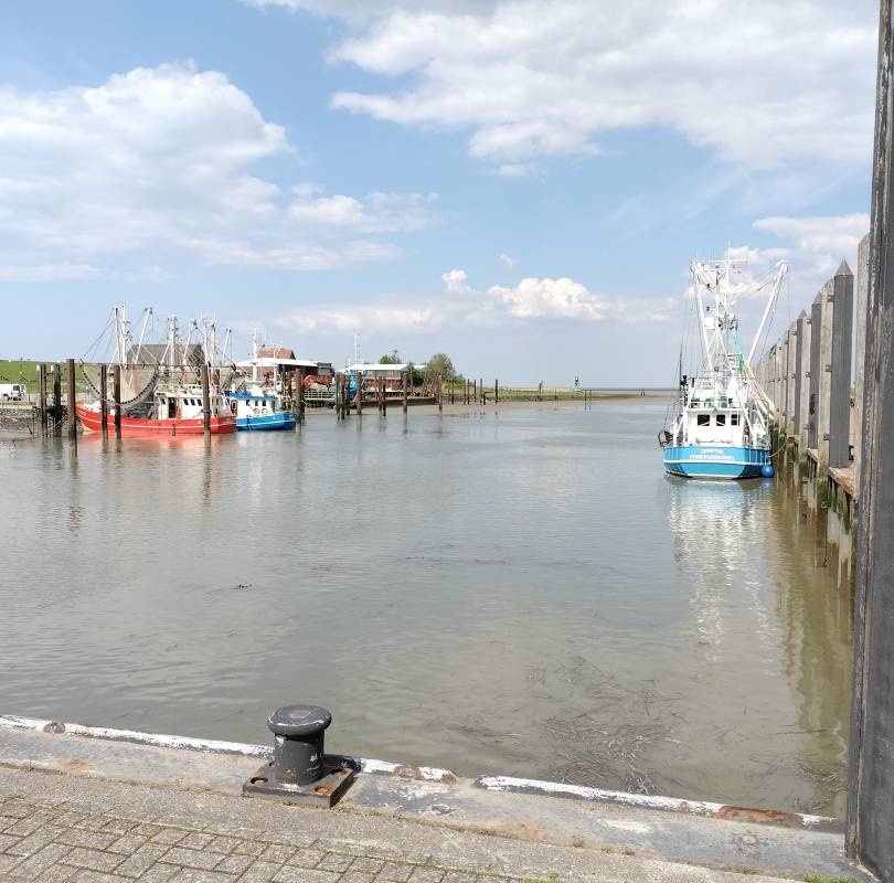 Campingplatz Fischerdorf — Campervan Site in Butjadingen Fedderwardersiel