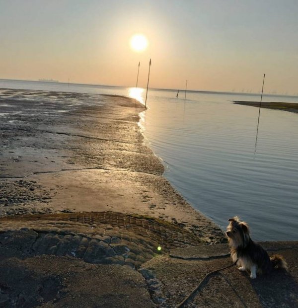 Campingplatz Fischerdorf — Photo 2