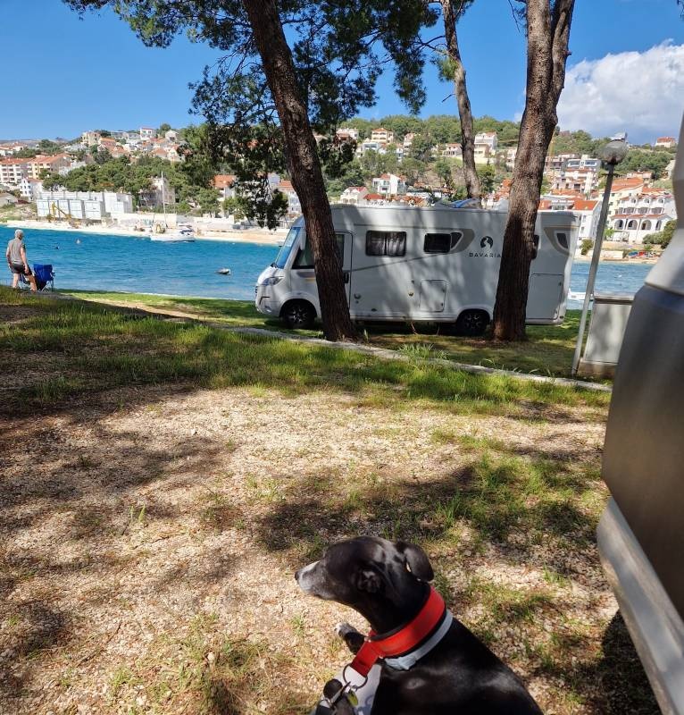 Auto Camp Rozac — Campingplass in Okrug Gornji
