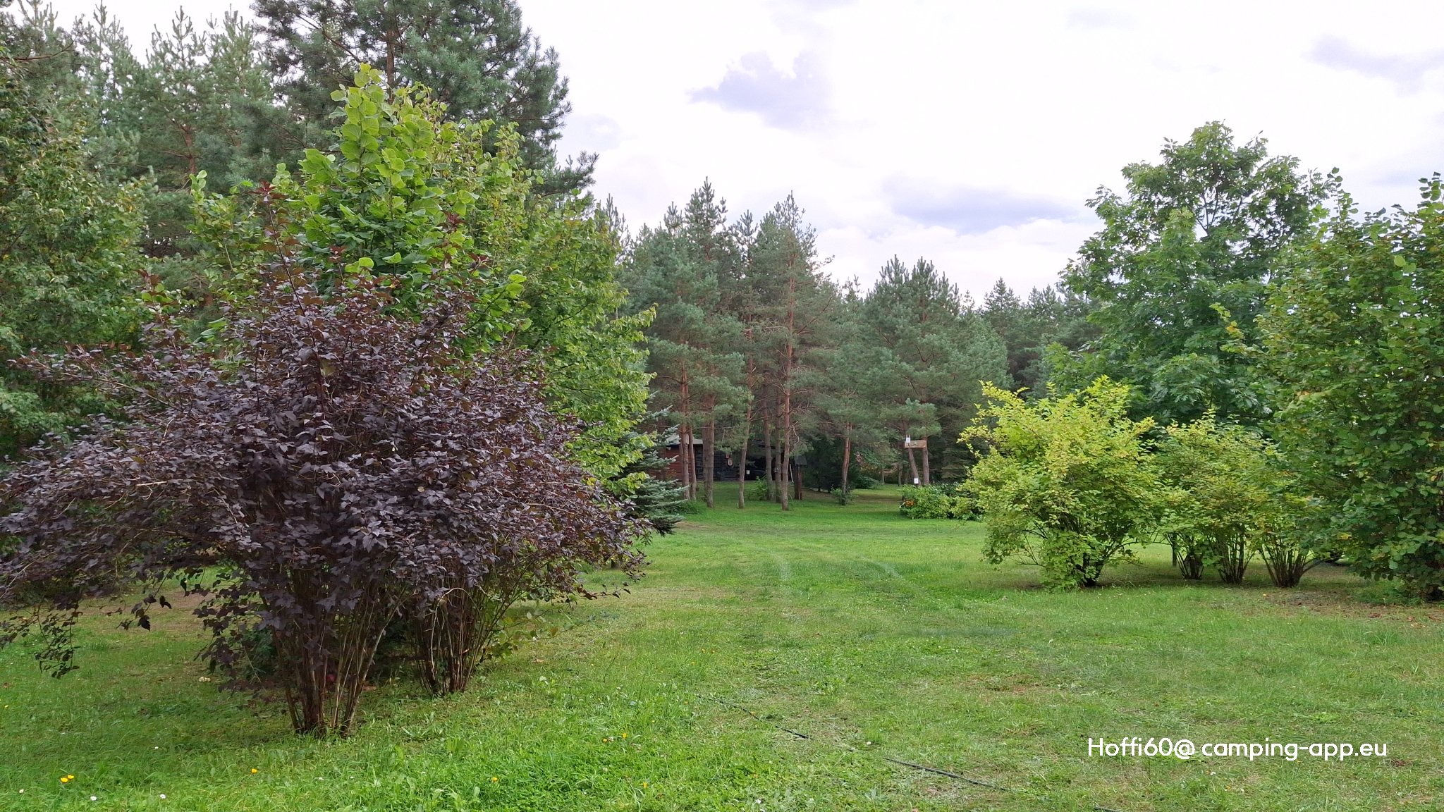 Joanna und Heinz Grundel — Photo 5