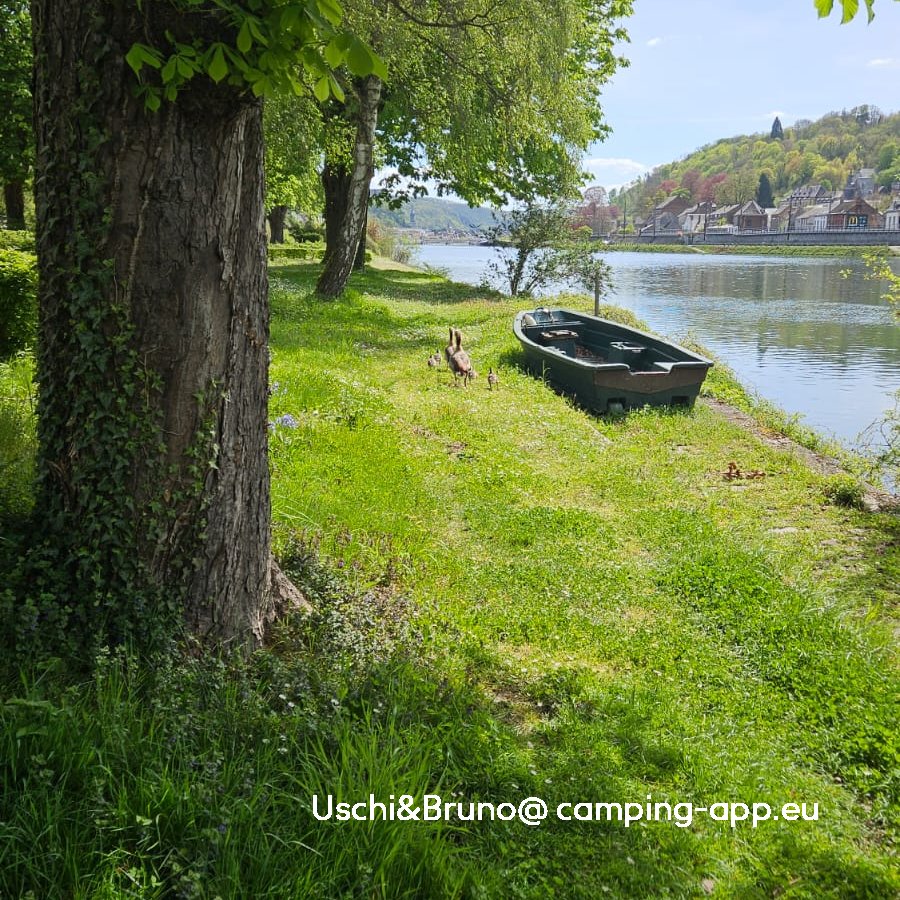 Camping Communal De Devant Bouvignes — Foto 3