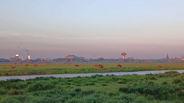 Ställpats Naturum Kristianstad — Photo 6