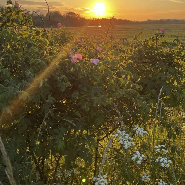 Ställpats Naturum Kristianstad — Photo 5