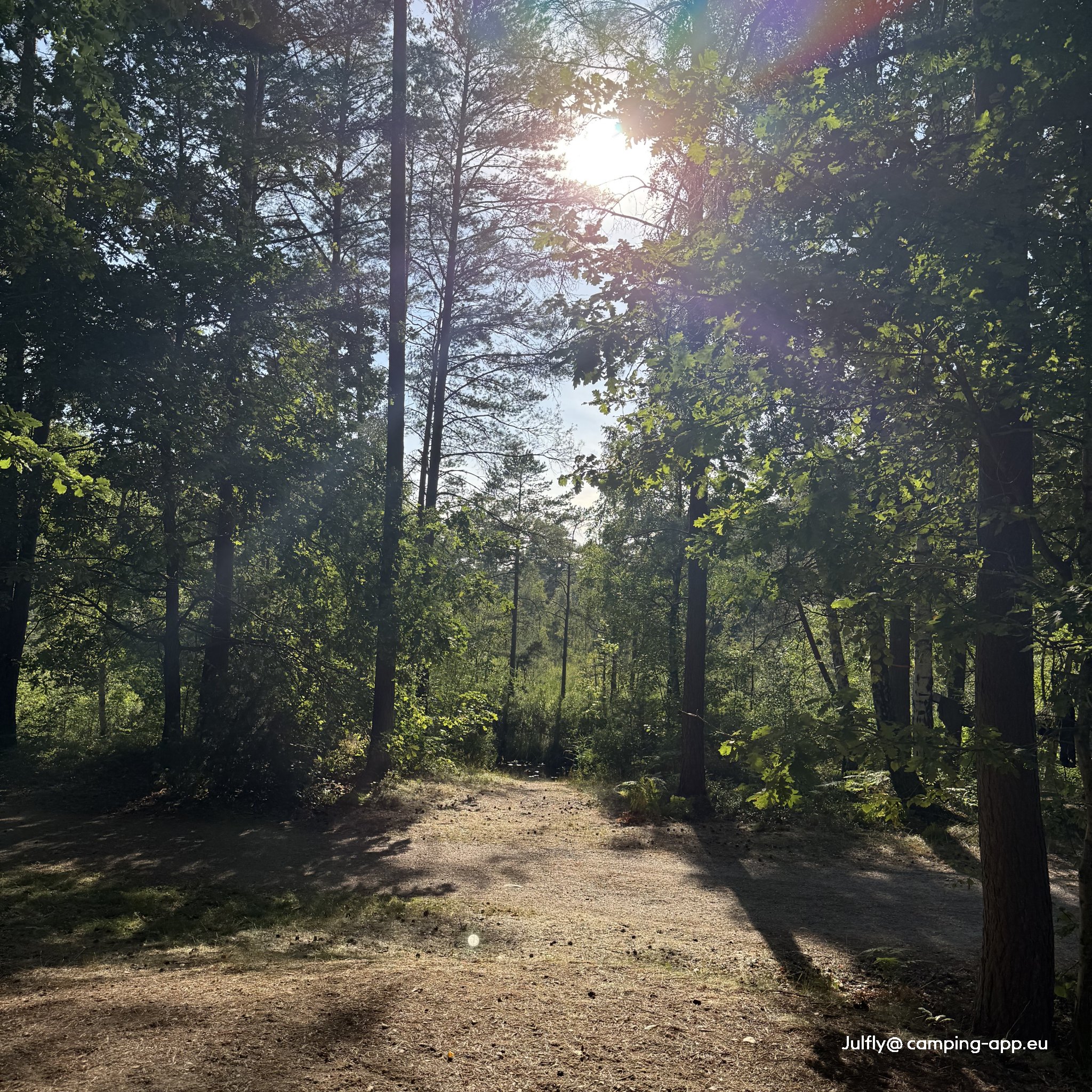 Hätteboda Vildmarkscamping — Foto 2
