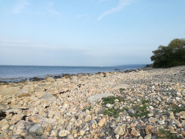 Caravan Club Norrvikens Camping